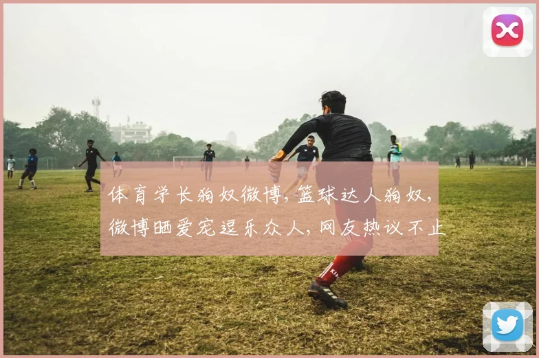体育学长狗奴微博,篮球达人狗奴,微博晒爱宠逗乐众人,网友热议不止