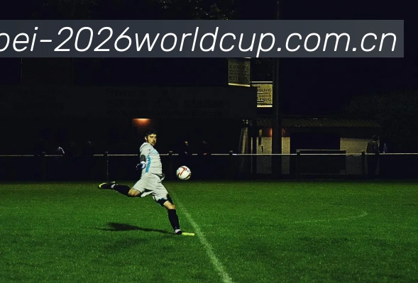 世界杯2026平台生态图